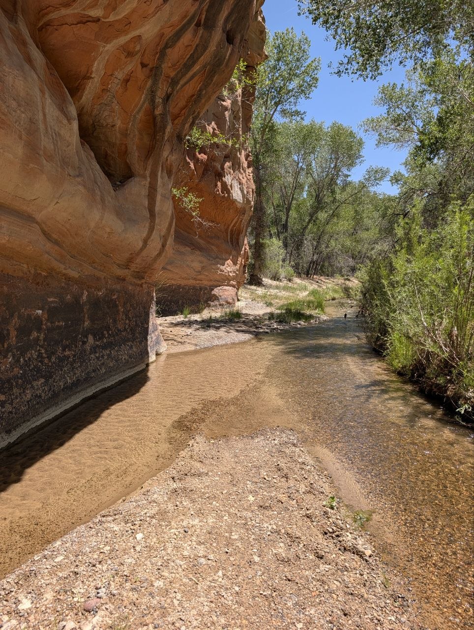 Shallow creek running beside orange sandstone and green cottonwoods