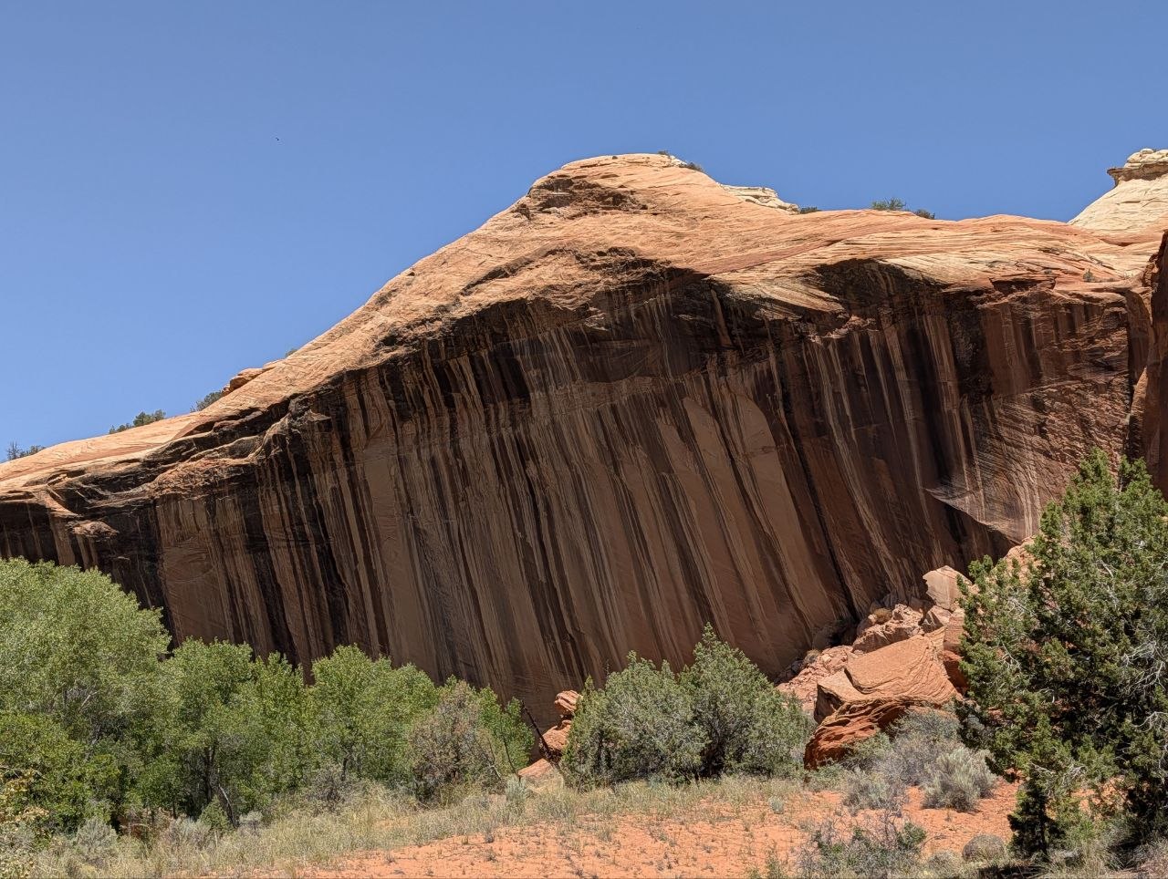 Large red Escalante sandstone wall with sweeping cross-bedded layers under blue sky