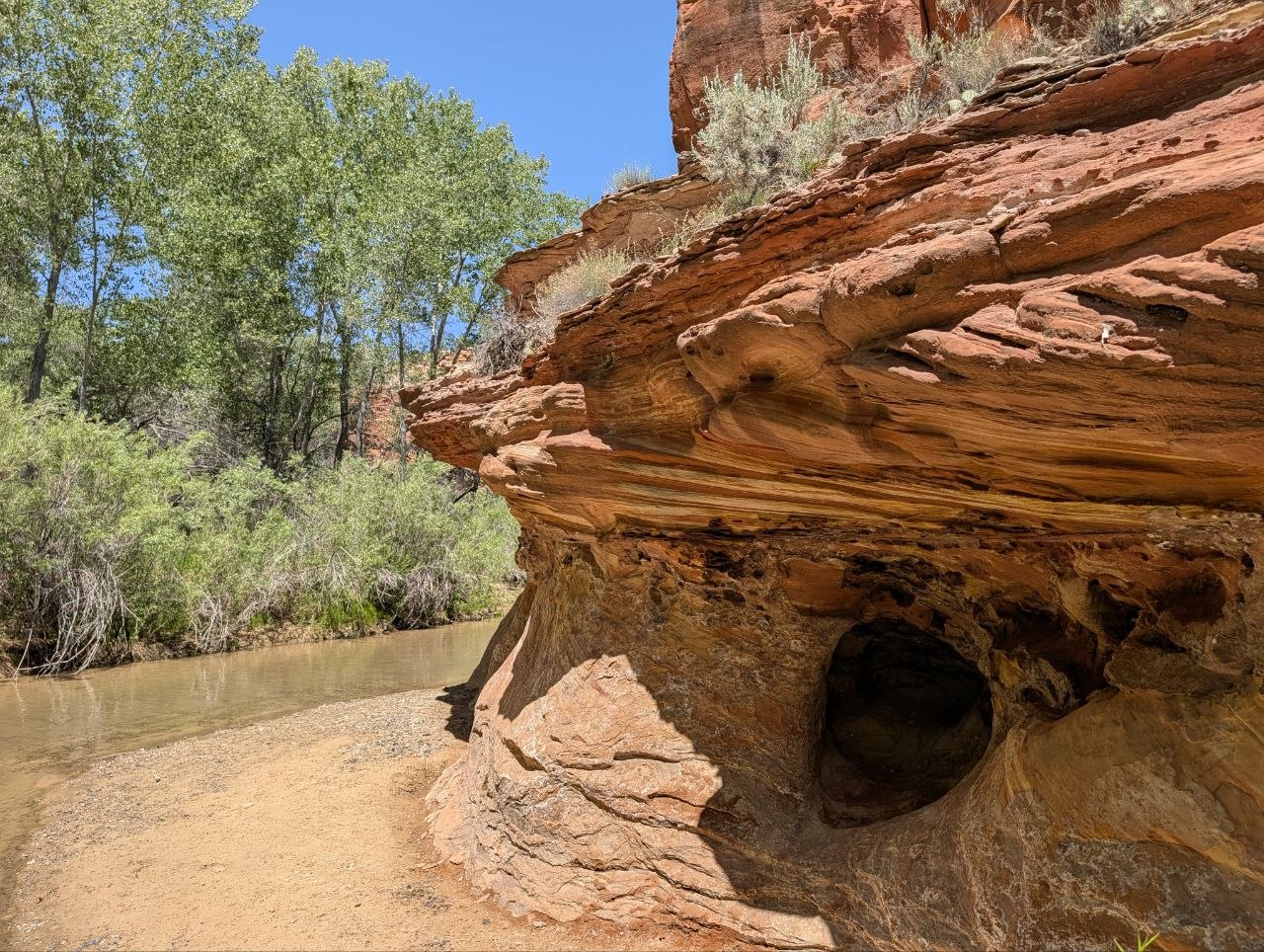 Close red sandstone ledge with honeycomb weathering beside a creek