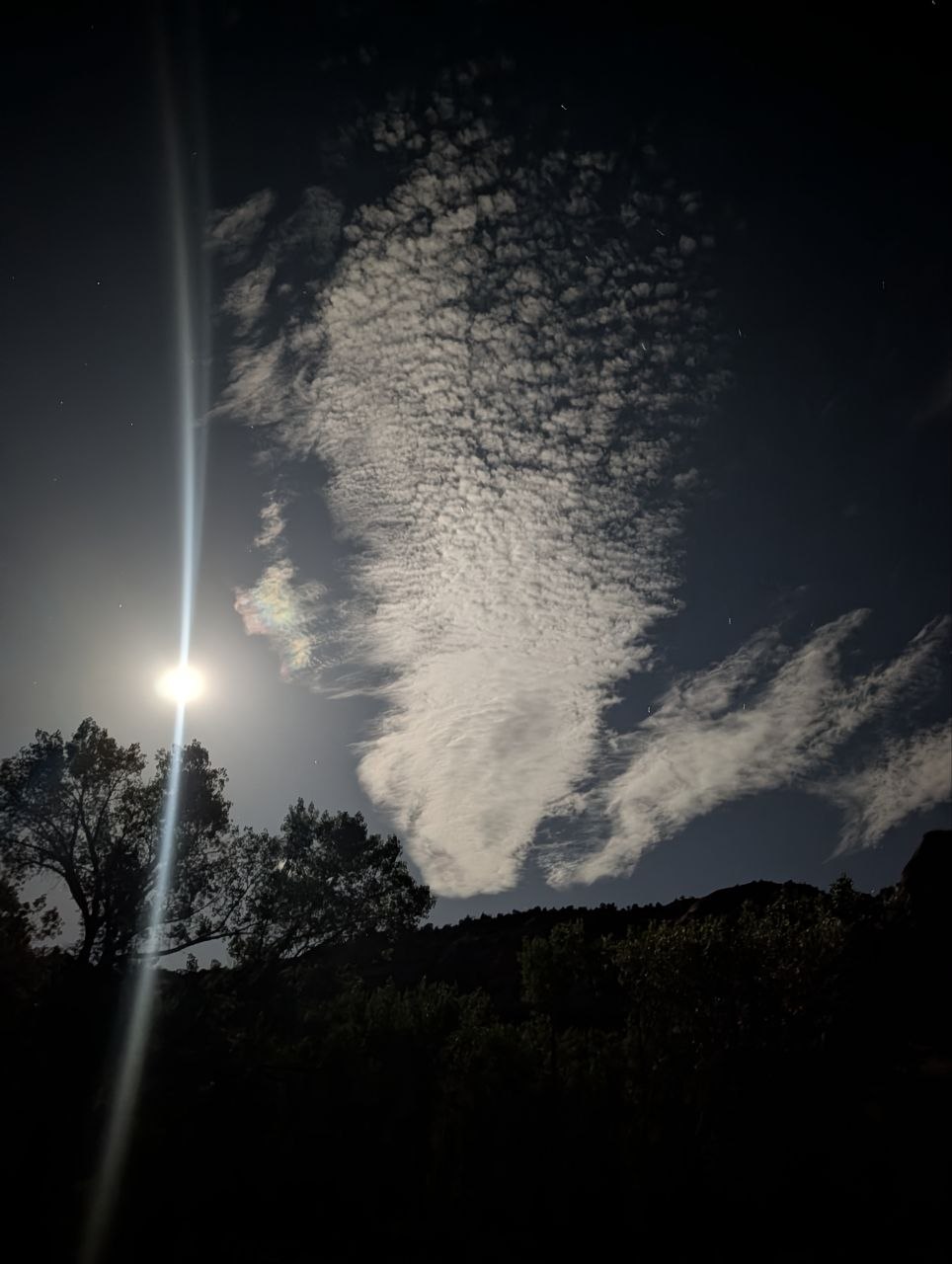 Bright moon and illuminated cloud texture above dark canyon trees