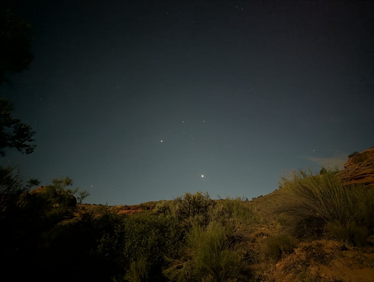 Stars above moonlit desert brush and red canyon walls at night