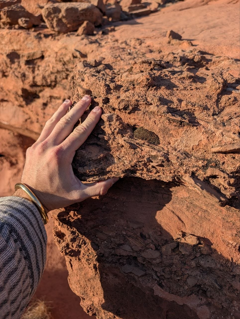 A hand resting on crumbly red sandstone in the Escalante River corridor