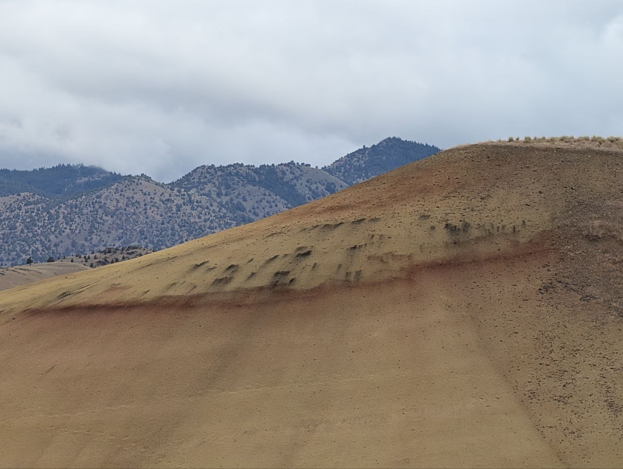 A Painted Hills slope with black manganese markings and a red band