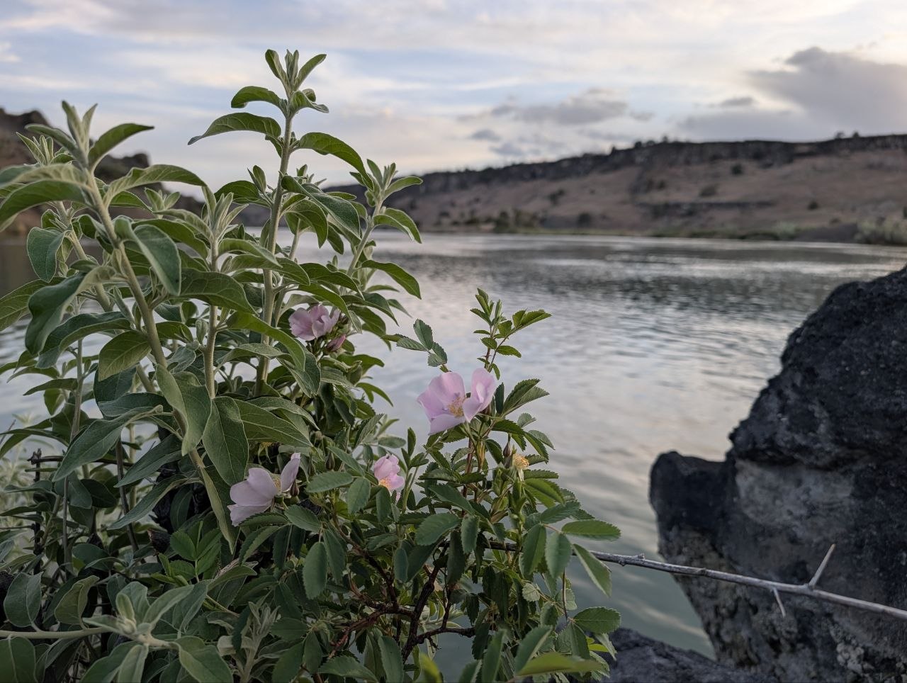 Open Snake River water below cliffs and evening clouds