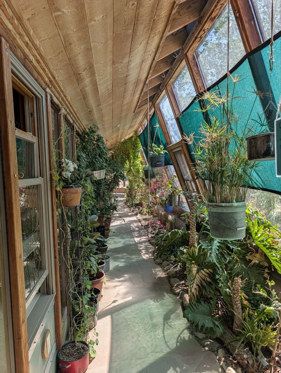 A sunlit greenhouse corridor inside an Earthship Visitor Center building, lined with plants and angled windows